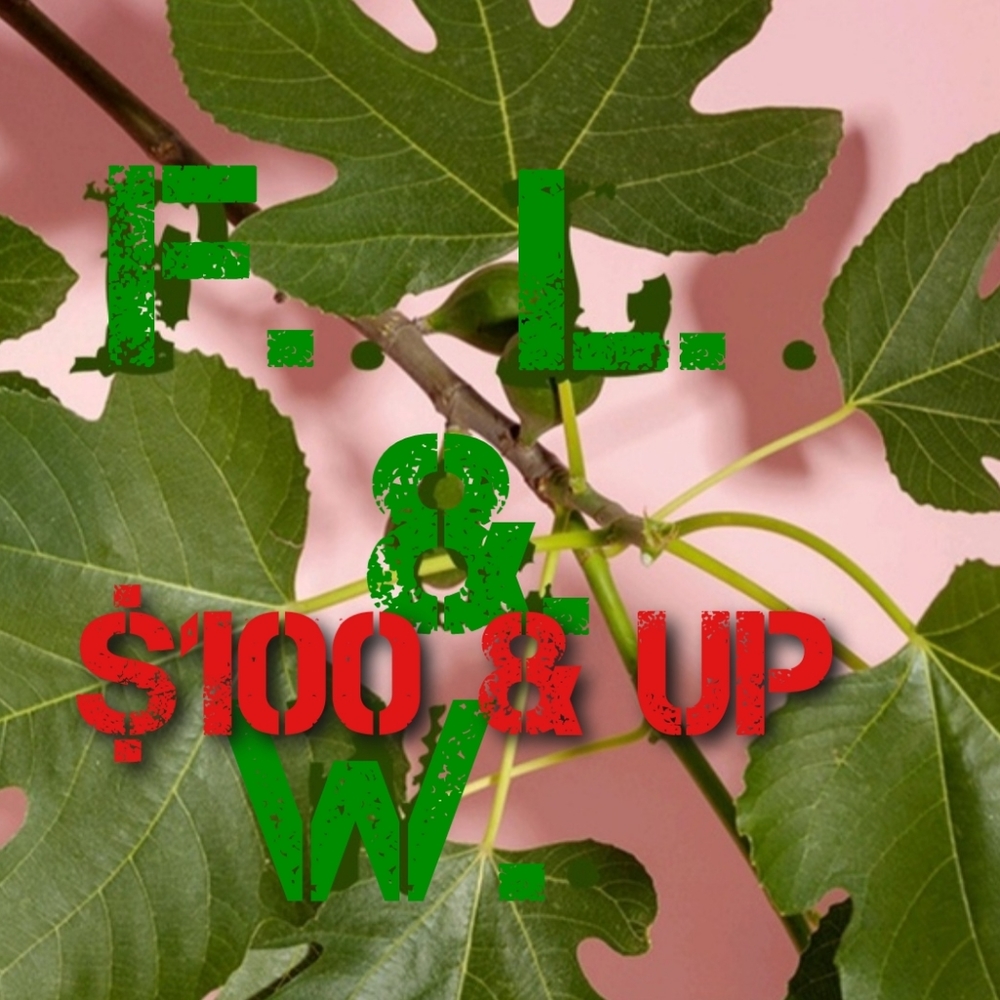 $100 & up items